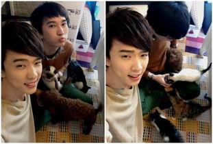 沈肯尼的背景,从网红到企业家，揭秘他的成长之路