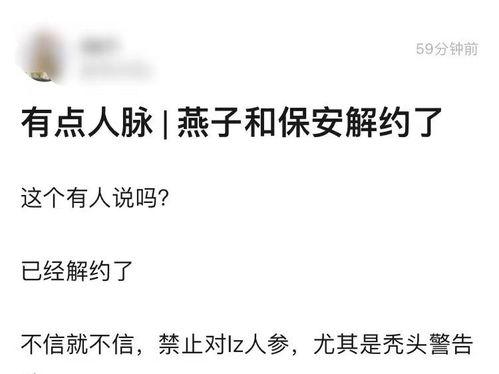 娱乐圈演绎公告,明星新动向与精彩预告揭晓