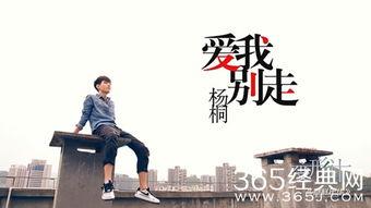 变形记的背景音乐,旋律中的奇幻之旅