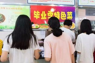 90网红乐乐,从网络红人到影响力领袖的蜕变之路